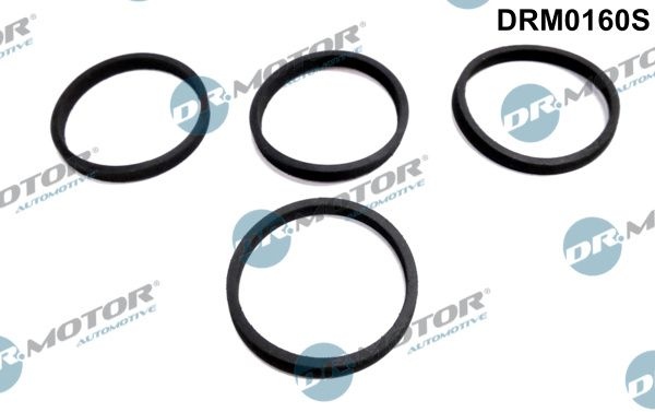 DR.MOTOR AUTOMOTIVE Gasket Set, intake manifold VW,AUDI,SKODA DRM0160S 06A133398,06A133398F,06A133398 06A133398F,06A133398,06A133398F,06A133398