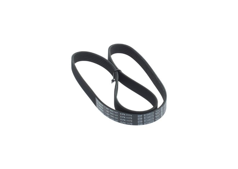 Poly V-belt