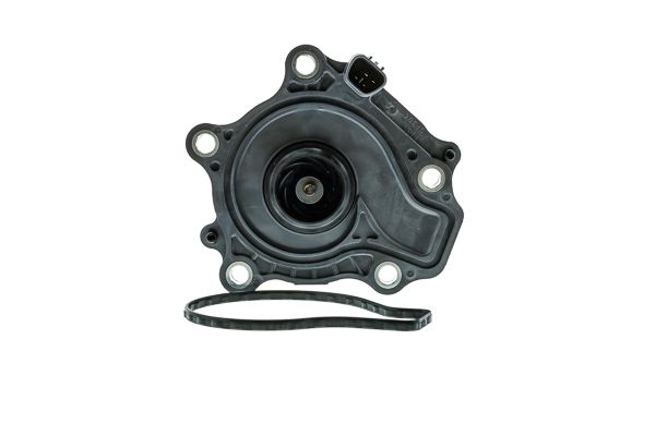 AISIN Water pump WPT-205A Engine water pump,Water pump for engine TOYOTA,SUZUKI,C-HR (AX10),Corolla XII Kombi (E210),Corolla XII Schrägheck (E210)
