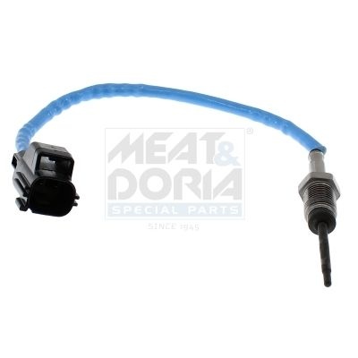 Ford Sensor Exhaust Gas Temperature