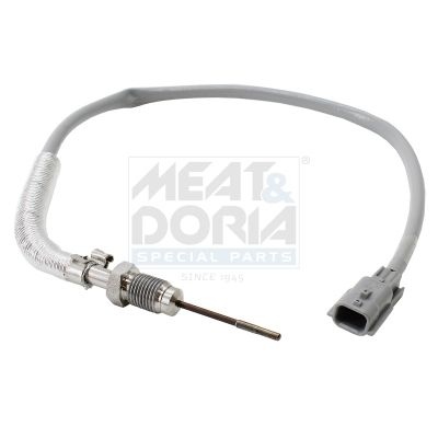 Renault Sensor Exhaust Gas Temperature