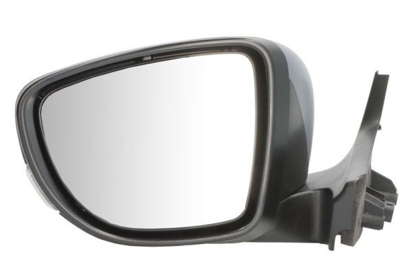 Blic Ytterspegel Renault 5402091256314P Storlek 2