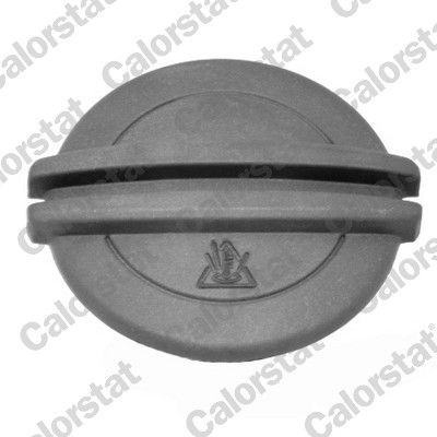 CALORSTAT by Vernet Expansion Tank with coolant level sensor ET0005C1 Coolant Expansion Tank,Coolant Reservoir VW,AUDI,SKODA,POLO (9N_)