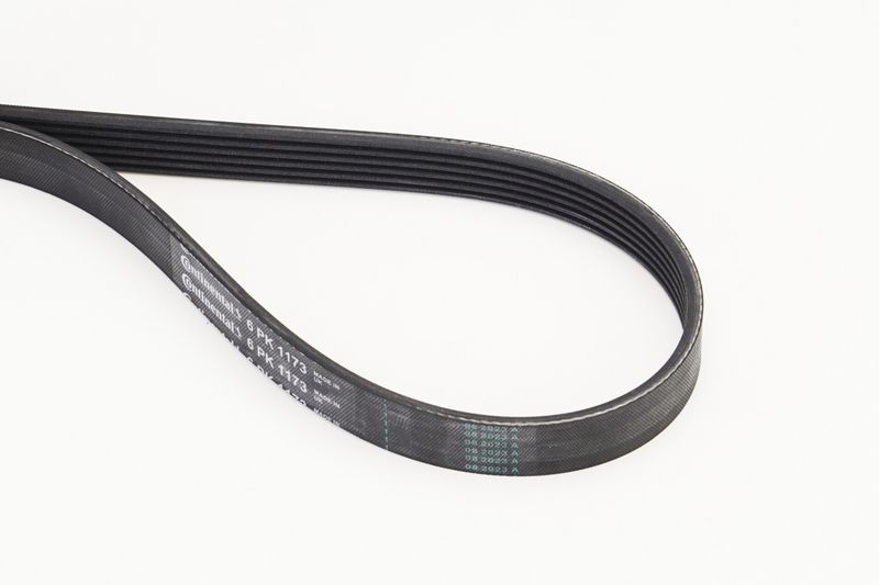 CONTITECH V-ribbed belt AUDI,BMW,RENAULT 6PK1173 11288580362,11288638716,11289888807 5750TN,96144511,6PK1171,6PK1172,6PK1173,6PK1174,6PK1175,5750TN