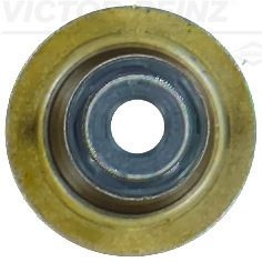 REINZ Valve Stem Seals 70-10143-00 Valve Stem Oil Seals,Valve Seals HYUNDAI,KIA,ix35 (LM, EL, ELH),Tucson (TL, TLE),i30 (FD),i10 (PA),i40 CW (VF)