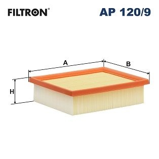 Filtron Luftfilter Ap 1209 Mitsubishi Ap120/9 Storlek 2