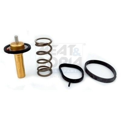 Ford Thermostat Coolant
