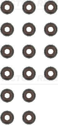 REINZ Seal Set, valve stem 12-53036-01 MERCEDES-BENZ,RENAULT,NISSAN,CITAN Kasten (415),Citan Kombi / Tourer (415),Clio III Schrägheck (BR0/1, CR0/1)