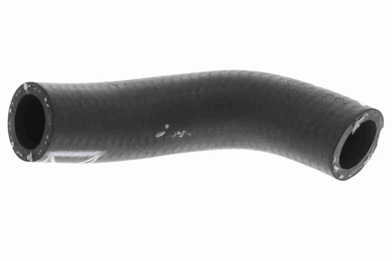 Audi Radiator Hose