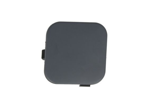 Blic Stotfångarskydd Dragkrok Ford 5513002533972P Storlek 2