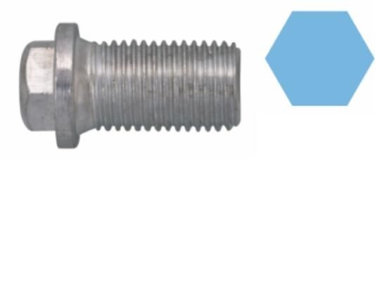 CORTECO Drain Plug VW,MERCEDES-BENZ,MITSUBISHI 220120S 05073945AA,1119970330,6019970230 Oil Drain Plug,Oil Drain Plug, oil pan A1119970330,A6019970230