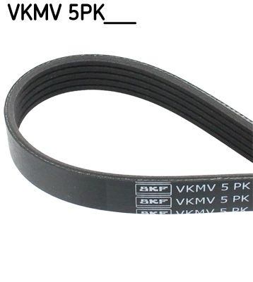 SKF V-ribbed belt AUDI,RENAULT,HYUNDAI VKMV 5PK1110 079903137E,8200061673,8200841132 5717038000,5717038000,1172000Q1L,1192000QAB,7700107493,8200061673