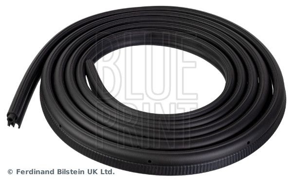 BLUE PRINT Door seal OPEL,RENAULT,NISSAN ADBP970012 7684200QAB,7684200QAD,8200032788 Rubber door seal,Door seal strip,Door weather stripping,4408416