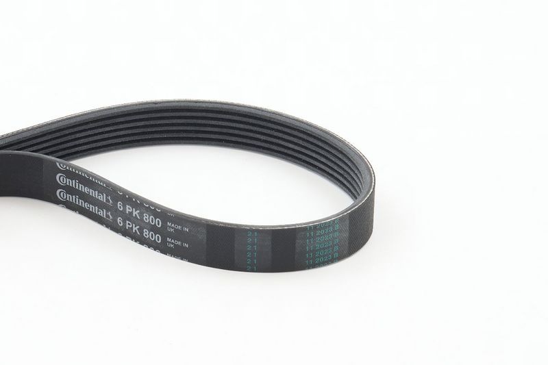 CONTITECH V-ribbed belt OPEL,FORD,FIAT 6PK800 1612162580,1635043080,5750E7 5750FS,5750FT,5750J0,5750VL,5750YP,5750ZF,9640115880,9640115980,9804491580
