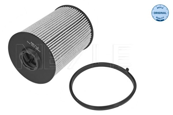 MEYLE Fuel Filter FORD,VOLVO 514 323 0009 1471765,1802052,6G9N9176AB 6G9N9176BA,MFF0206,30681552,30794824,31273979,31336192,31342920,32242188,8621645