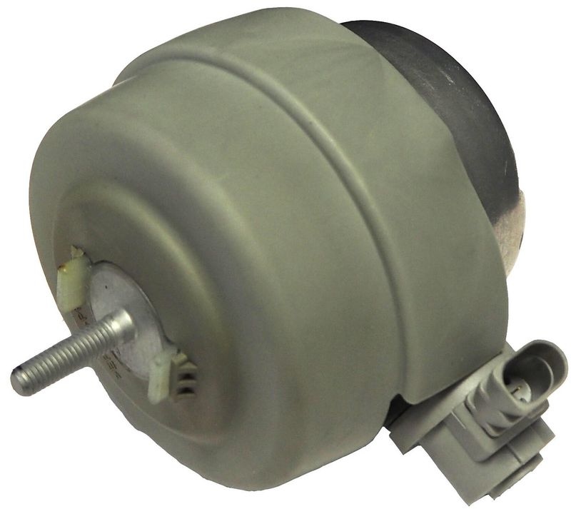 Audi Axle Body/Engine Support Bearing