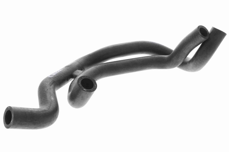 Audi Radiator Hose