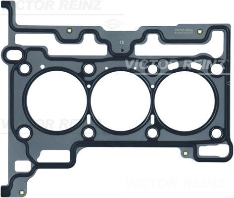 REINZ Head Gasket Multilayer Steel (MLS) 61-43170-00 Cylinder Head Gaskets,Engine Gasket FORD,Fiesta Mk6 Schrägheck (JA8, JR8),FOCUS III Turnier