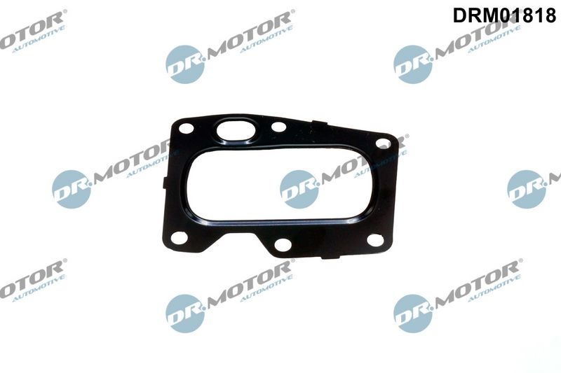 DR.MOTOR AUTOMOTIVE Gaskets DRM01818 Seal, EGR valve OPEL,FORD,FIAT,GRANDLAND X (A18),Zafira Life (K0),Vivaro C Kastenwagen (K0),Vivaro C Combi (K0)