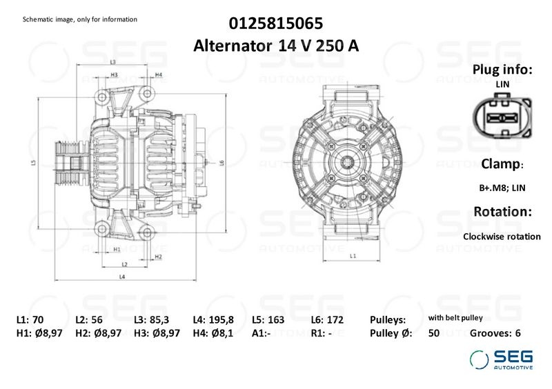 Dynamo Generator