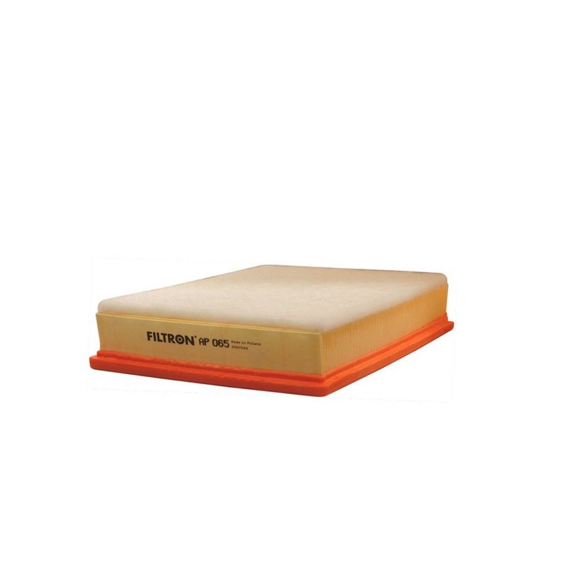 Luftfilter AP 065 Filtron