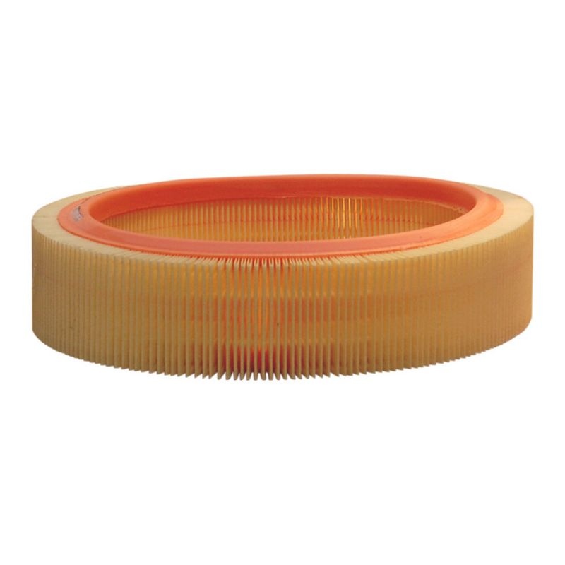 FILTRON Air filter RENAULT,DACIA,ARO AR 229 PC1004,PC809,1444K3 Engine air filter,Engine filter F404051032,93892086,IIM107,93523207,93578334,EL3166