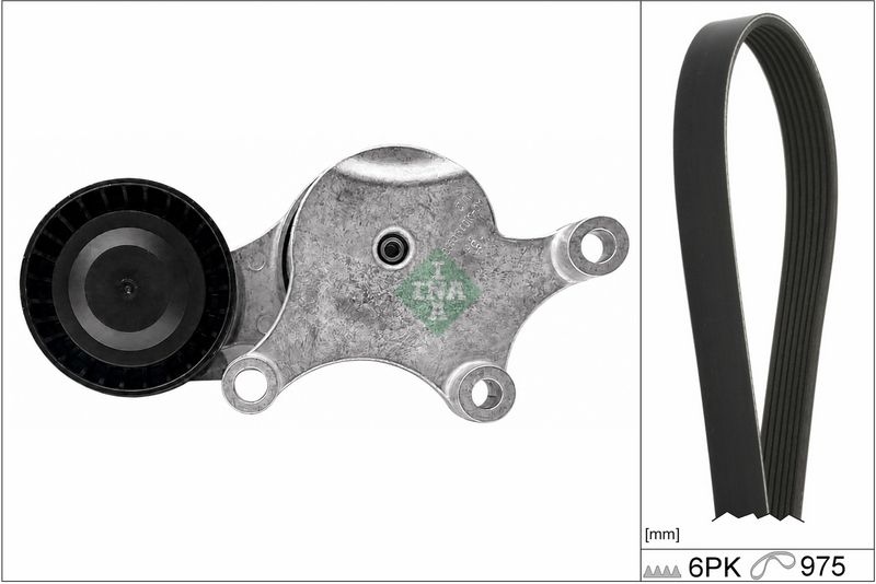 INA V-ribbed belt set Check alternator freewheel clutch & replace if necessary 529 0261 10 Serpentine belt kit,Auxiliary belt kit FORD,PEUGEOT,CITROËN