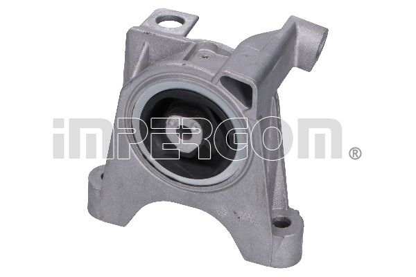 Fiat Axle Body/Motor Support Bearing