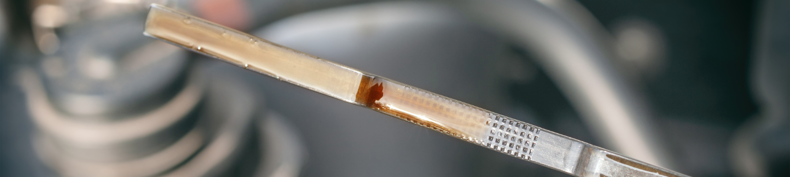 Het oliepeil controleren, hoe zat dat ook alweer