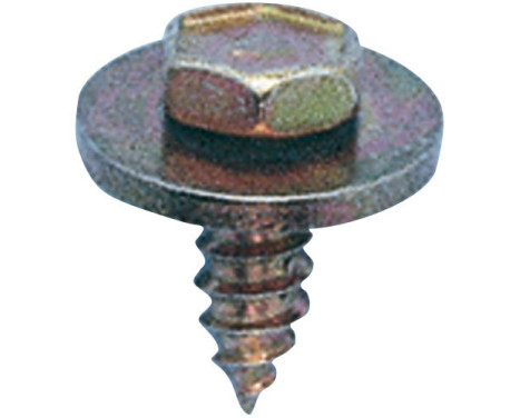 Zeskantplaatbout 4.8x13mm - 20 bitar