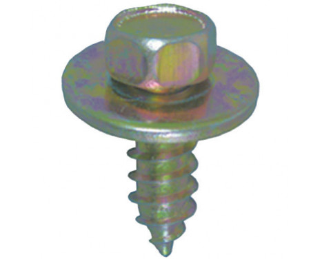 Zeskantplaatbout 5.5x16mm - 20 bitar