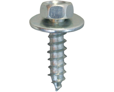 Zeskantplaatbout 6.3x25mm - 20 bitar