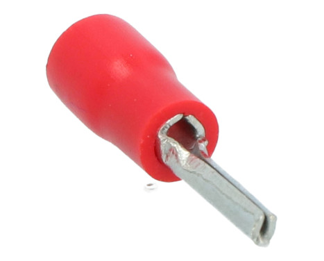 Carpoint Stiftkabelsko 566 Röd Ø 1,9 mm 10 st