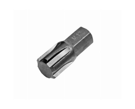 Rooks Bit 10 mm (3/8") Rib M12