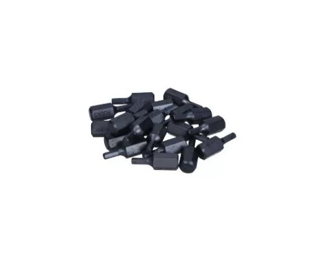 Rooks Bits 10 mm (3/8") Sexkantshylsa 4 mm x 30 mm, 20 stycken
