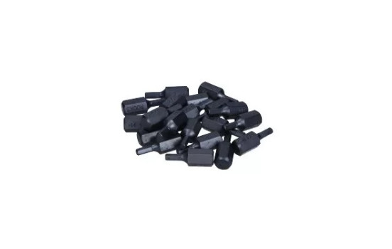 Rooks Bits 10 mm (3/8") Sexkantshylsa 4 mm x 30 mm, 20 stycken