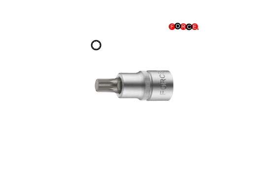Force bits socket 3/8" Multi-tooth M10