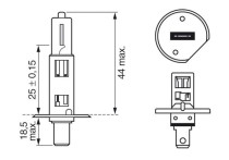 Bosch H1 STD 12V 55W, koplamp