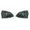 Set koplampen passend voor Renault Clio II Facelift 2001-2005 - Zwart/Helder