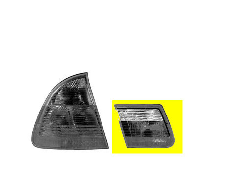 ACHTERLICHTGLAS BINNEN R 6246672205005 Origineel ACHTERLICHTGLAS BINNEN R 6246672205005 Origineel