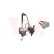 Window Regulator 0323264 Van Wezel, Thumbnail 2