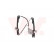 Window Regulator 1858264 Van Wezel, Thumbnail 2