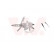 Window Regulator 4342262 Van Wezel, Thumbnail 2