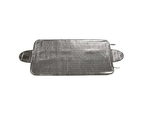 Carpoint Anti-ice Blanket 180x85cm, Image 3