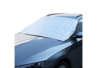 Carpoint Anti-Ice Cover Film Magnetic 160x95cm