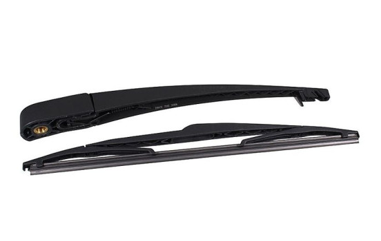Windshield wiper arm, windshield cleaning