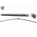 Wiper Arm Set, window cleaning EXPERT KITS + V10-3436 VAICO