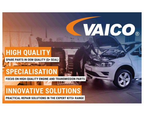 Wiper Arm Set, window cleaning EXPERT KITS + V42-0510 VAICO, Image 3